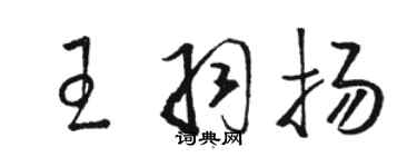 駱恆光王羽揚草書個性簽名怎么寫