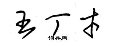 朱錫榮王丁才草書個性簽名怎么寫