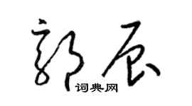 梁錦英郭辰草書個性簽名怎么寫