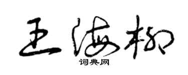 曾慶福王海柳草書個性簽名怎么寫