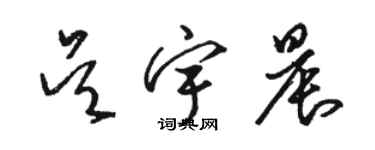 駱恆光吳宇晨草書個性簽名怎么寫