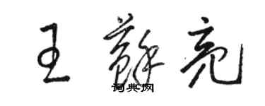 駱恆光王蘇亮草書個性簽名怎么寫