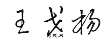 駱恆光王戈楊草書個性簽名怎么寫