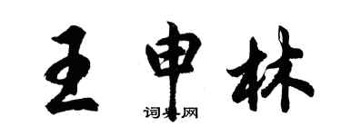 胡問遂王申林行書個性簽名怎么寫