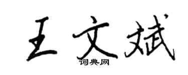 王正良王文斌行書個性簽名怎么寫