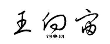 梁錦英王向宙草書個性簽名怎么寫