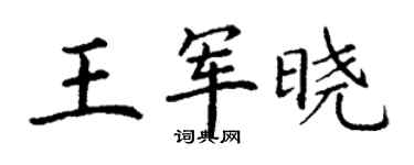 丁謙王軍曉楷書個性簽名怎么寫