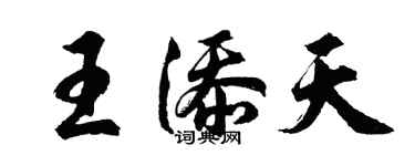 胡問遂王添天行書個性簽名怎么寫