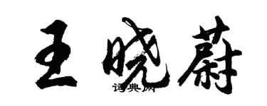 胡問遂王曉蔚行書個性簽名怎么寫