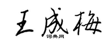 王正良王成梅行書個性簽名怎么寫