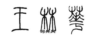 陳墨王林華篆書個性簽名怎么寫