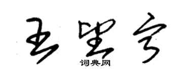 朱錫榮王望寧草書個性簽名怎么寫