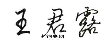 駱恆光王君露行書個性簽名怎么寫