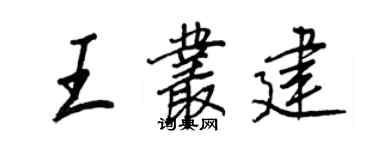 王正良王叢建行書個性簽名怎么寫