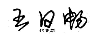 朱錫榮王日暢草書個性簽名怎么寫