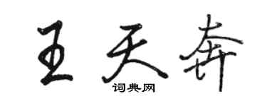 駱恆光王天奔行書個性簽名怎么寫