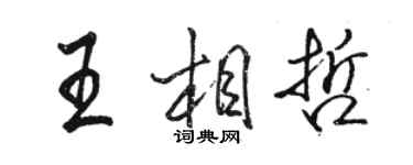 駱恆光王相哲行書個性簽名怎么寫