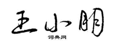 曾慶福王小朋草書個性簽名怎么寫