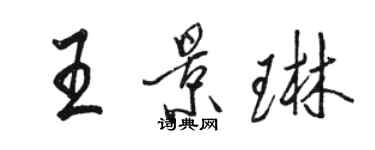 駱恆光王景琳行書個性簽名怎么寫