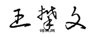 曾慶福王攀文草書個性簽名怎么寫