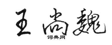 駱恆光王尚魏行書個性簽名怎么寫