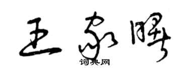 曾慶福王家曙草書個性簽名怎么寫