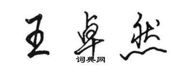 駱恆光王卓然行書個性簽名怎么寫