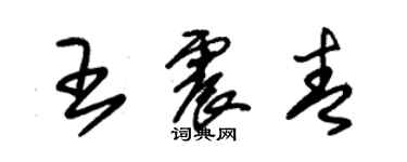 朱錫榮王震青草書個性簽名怎么寫