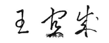 駱恆光王宜成草書個性簽名怎么寫