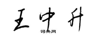 王正良王中升行書個性簽名怎么寫