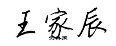 王正良王家辰行書個性簽名怎么寫