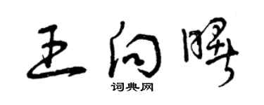 曾慶福王向曙草書個性簽名怎么寫