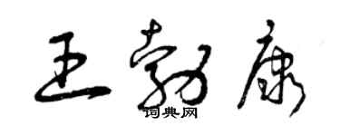 曾慶福王勃康草書個性簽名怎么寫