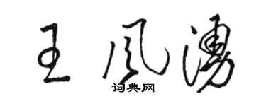 駱恆光王風涌草書個性簽名怎么寫