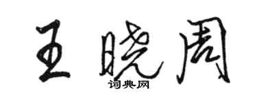 駱恆光王曉周行書個性簽名怎么寫