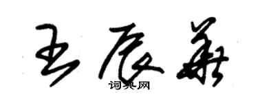 朱錫榮王辰華草書個性簽名怎么寫