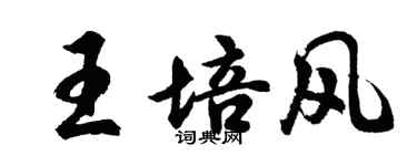 胡問遂王培風行書個性簽名怎么寫