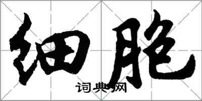 胡問遂細胞行書怎么寫