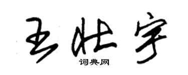 朱錫榮王壯宇草書個性簽名怎么寫