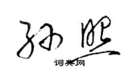 駱恆光孫照草書個性簽名怎么寫