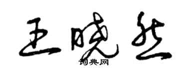 曾慶福王曉然草書個性簽名怎么寫