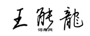 王正良王能龍行書個性簽名怎么寫