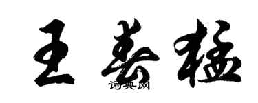 胡問遂王春猛行書個性簽名怎么寫