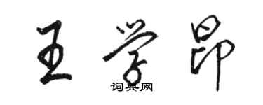 駱恆光王學昂行書個性簽名怎么寫