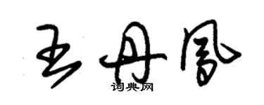 朱錫榮王丹鳳草書個性簽名怎么寫