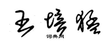 朱錫榮王培猛草書個性簽名怎么寫