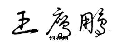 曾慶福王鷹鵬草書個性簽名怎么寫