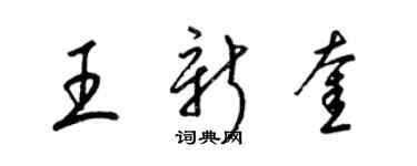 梁錦英王新奎草書個性簽名怎么寫