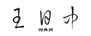 駱恆光王日中草書個性簽名怎么寫