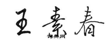 駱恆光王素春行書個性簽名怎么寫